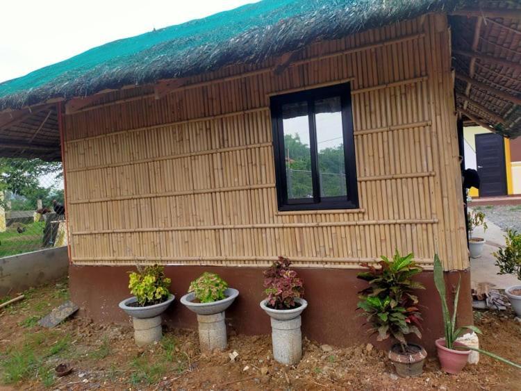 Casa De Flores Alaminos Exterior foto